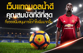เว็บแทงบอล ค่าคอมสูง