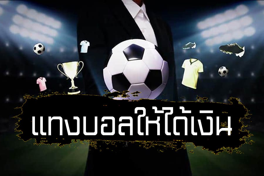 เว็บแทงบอล