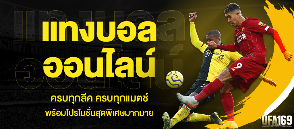 เว็บแทงบอล ฟรี