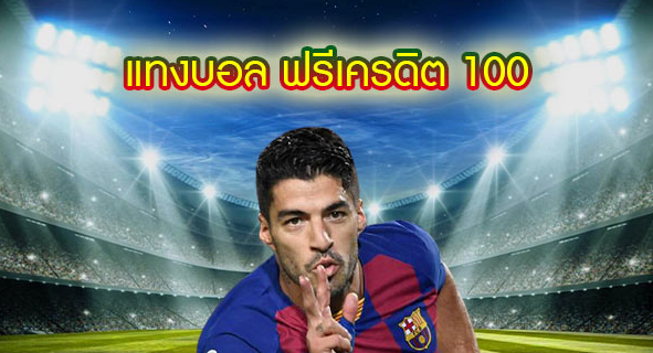 เว็บแทงบอล ฟรีเครดิต 100บาท
