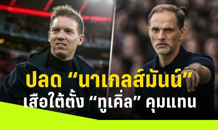 ข่าวฟุตบอล เสือใต้แยก