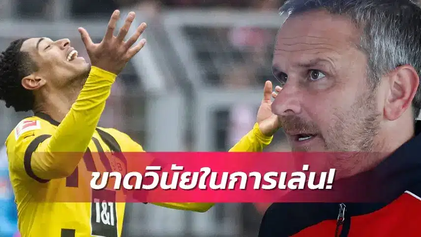 ข่าวฟุตบอล ดีทมาร์ ฮามันน์